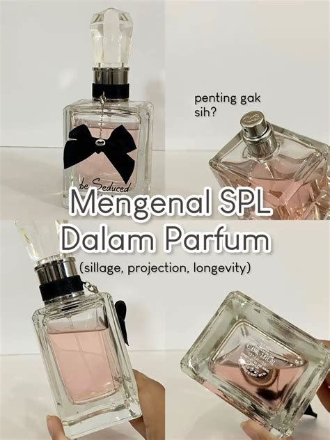 spl adalah parfum